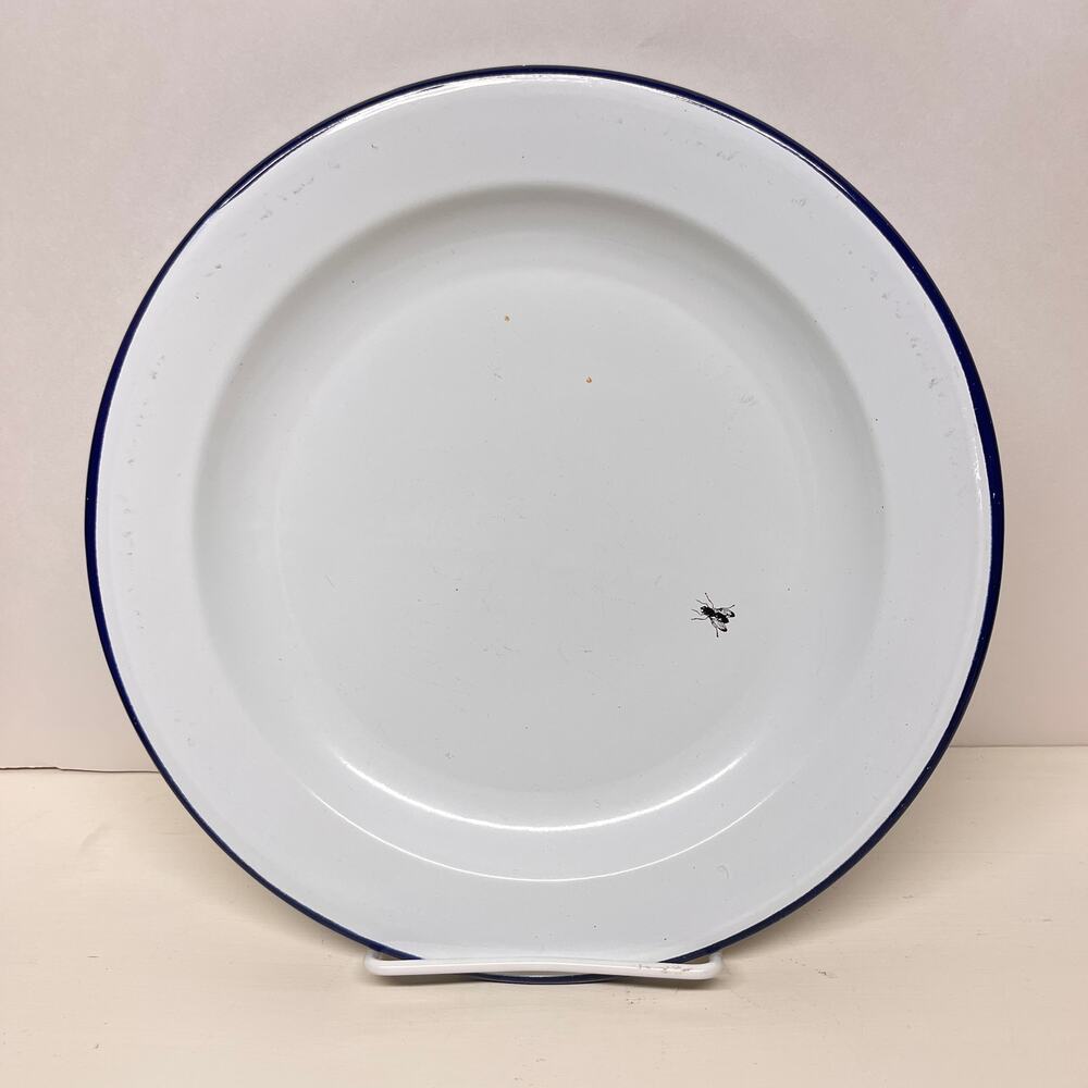 Vintage Robert Steffy Bagatelle 88 Enamelware Single Picnic Plate with Fly